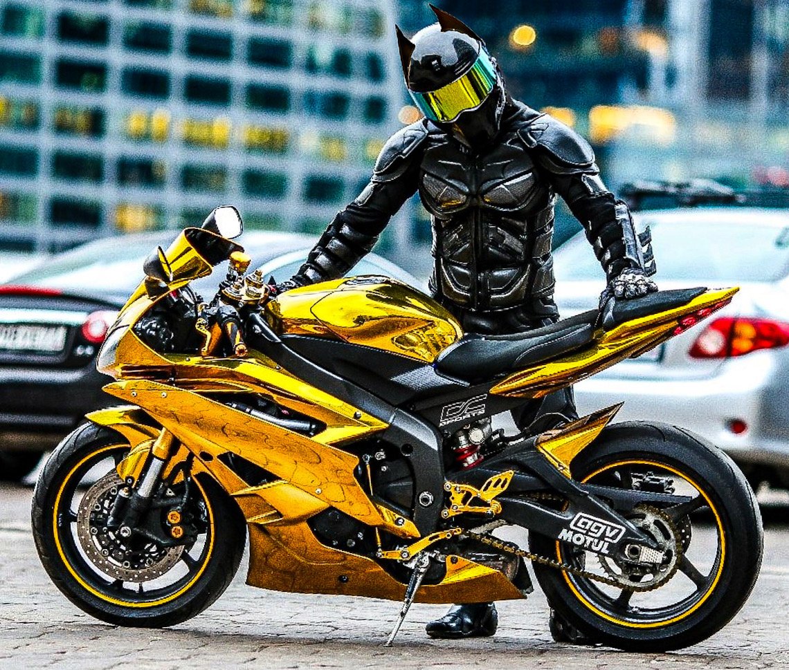 Batman Biker moto suit (motorcycle armor, gear, protection, equipment, ) product image (3)