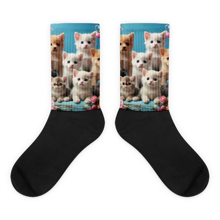 Whiskers to Toes Socks product image (2)