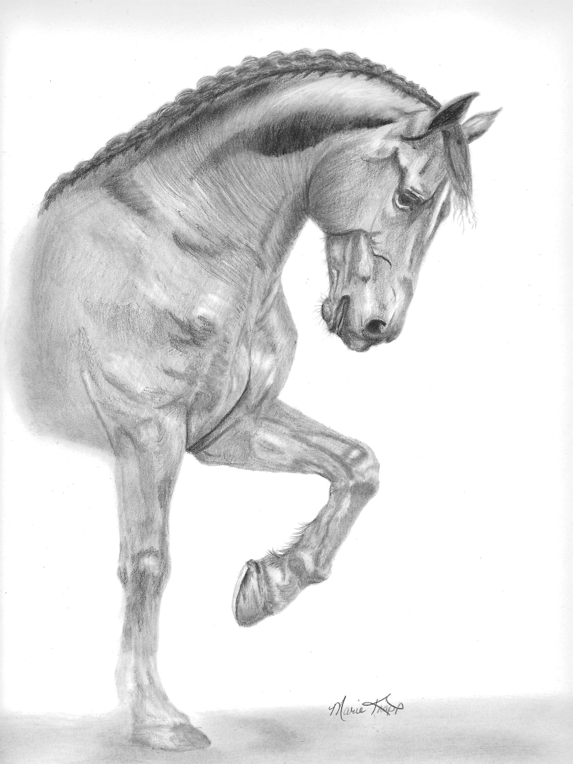 Bow to Above - Original Graphite Drawing product image (2)