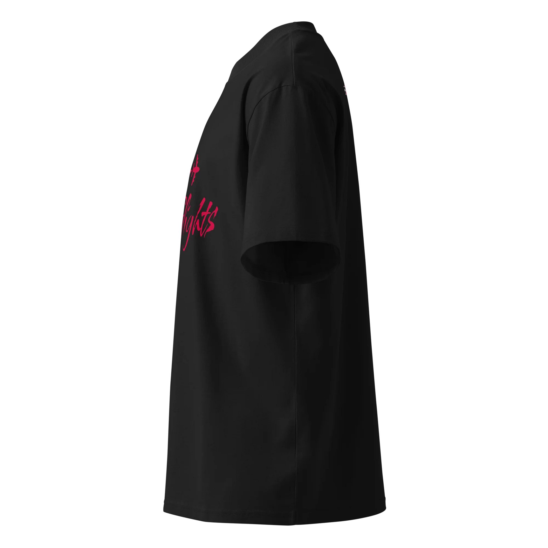 Take Flights Oversized Tee product image (3)