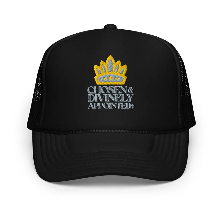 Chosen and Divinely Appointed product image (1)