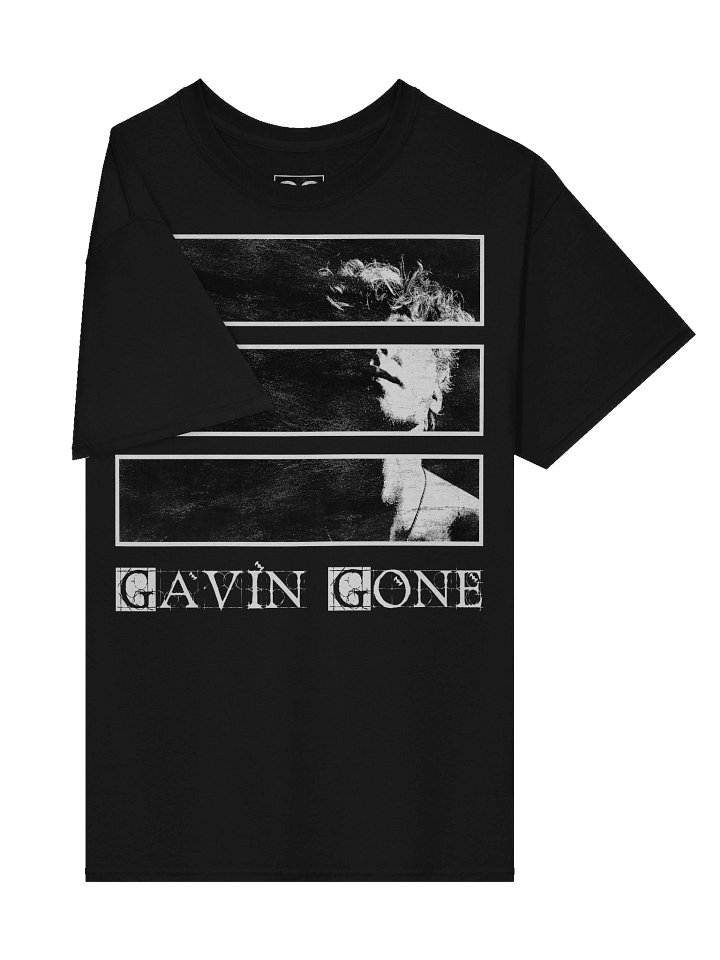 3 Layer Premium Heavyweight T-Shirt product image (1)