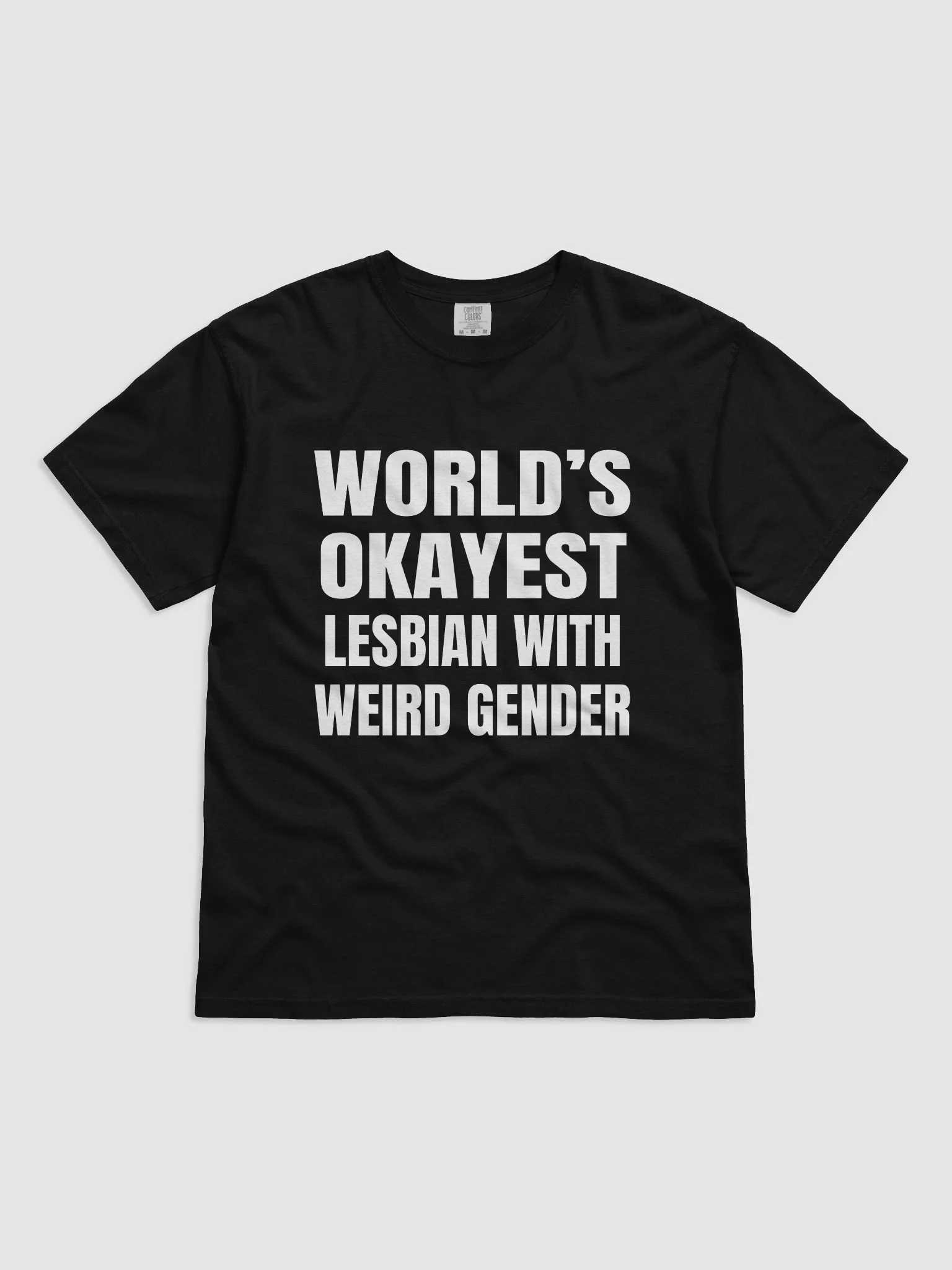 World's Okayest Lesbian With Weird Gender T-Shirt