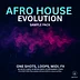 Afro House Evolution Sample Pack 01 by DJ Odyccy