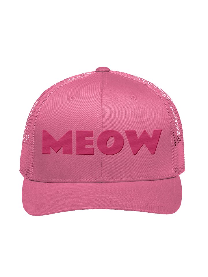 Embroidered MEOW Hat - Pink Thread Collection product image (2)