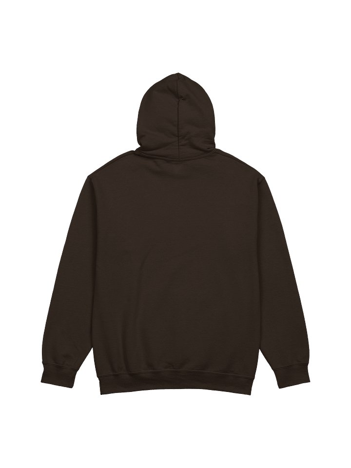 Classic Horseshoe Hoodie (Silver) product image (14)
