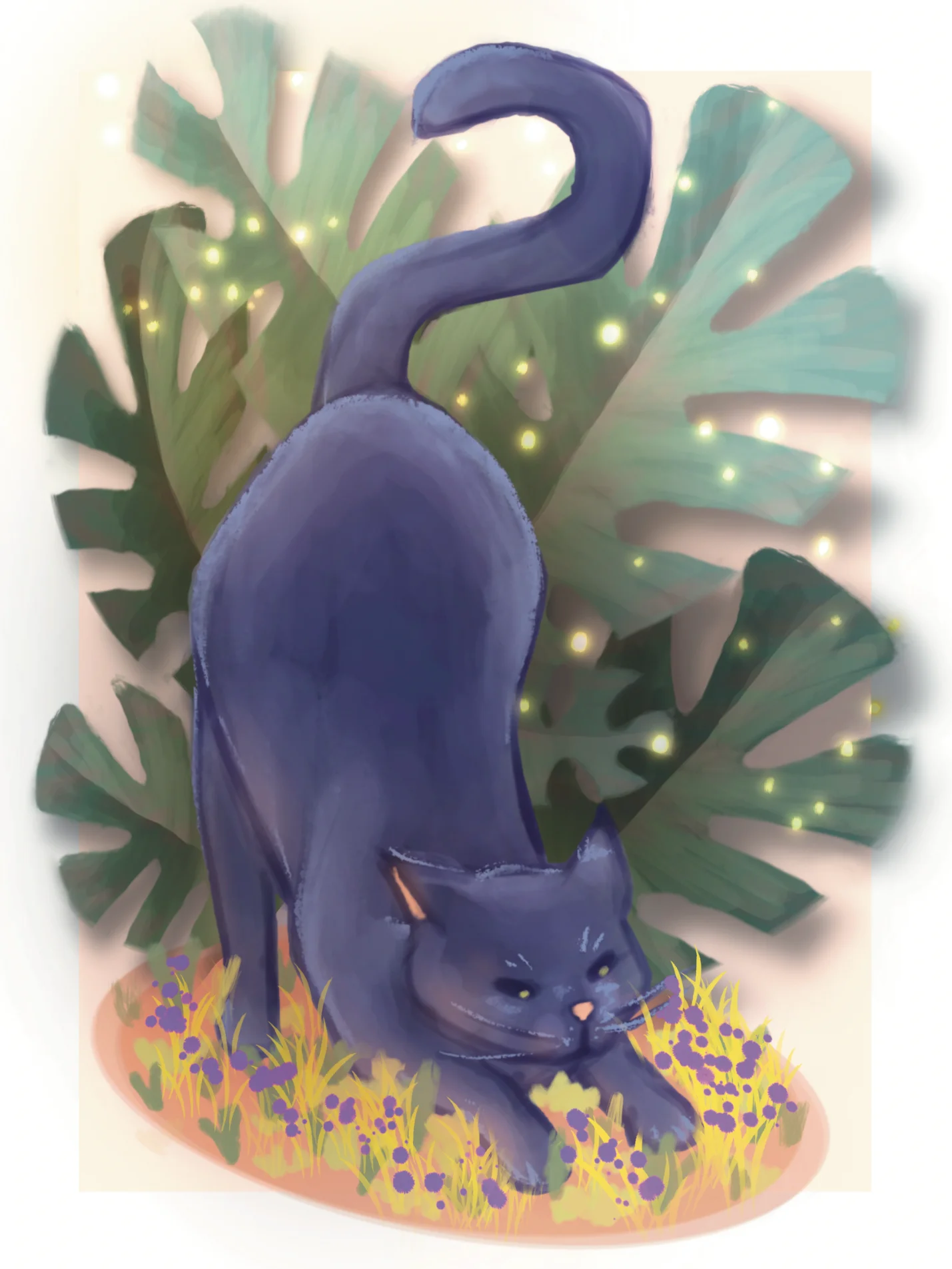 Monstera Kitty product image (1)