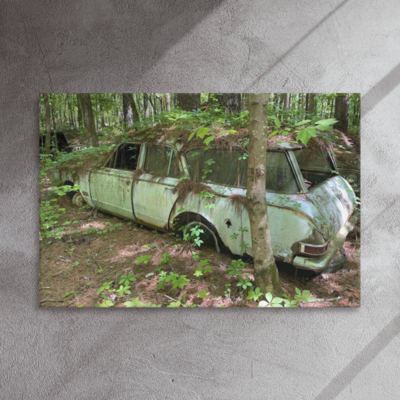 Old Car City USA – Nature Takes the Wheel product image (2)