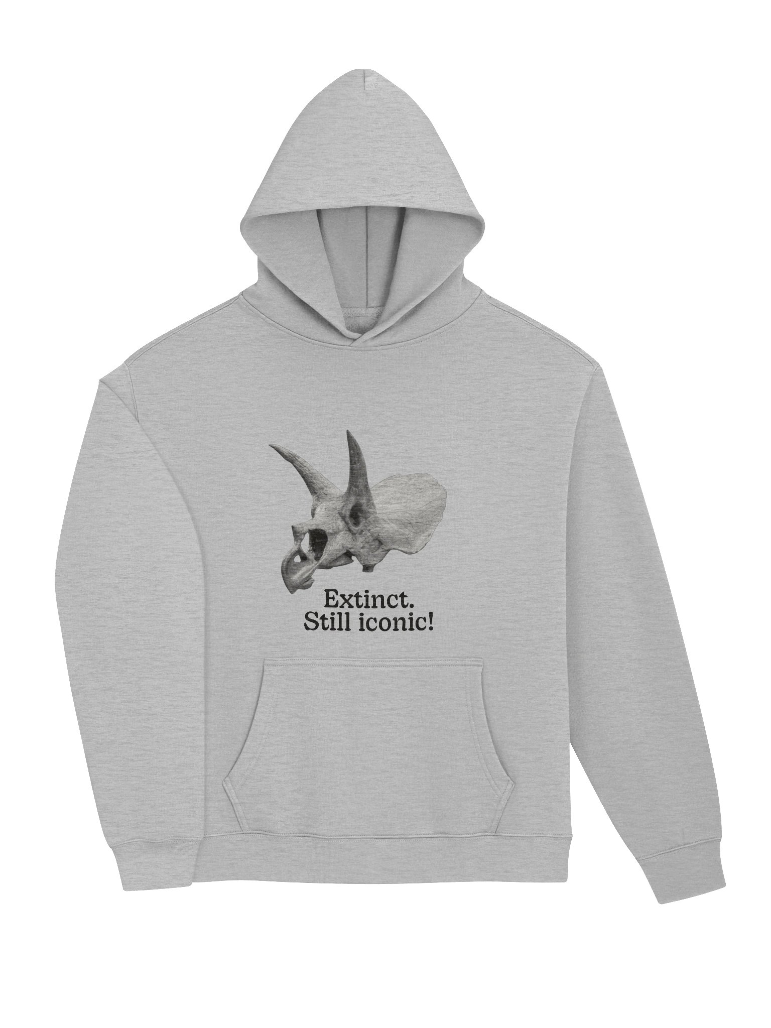 Dinosaur Hoodie – Extinct Still Iconic | Oversized Unisex Hoodie Gift product image (3)