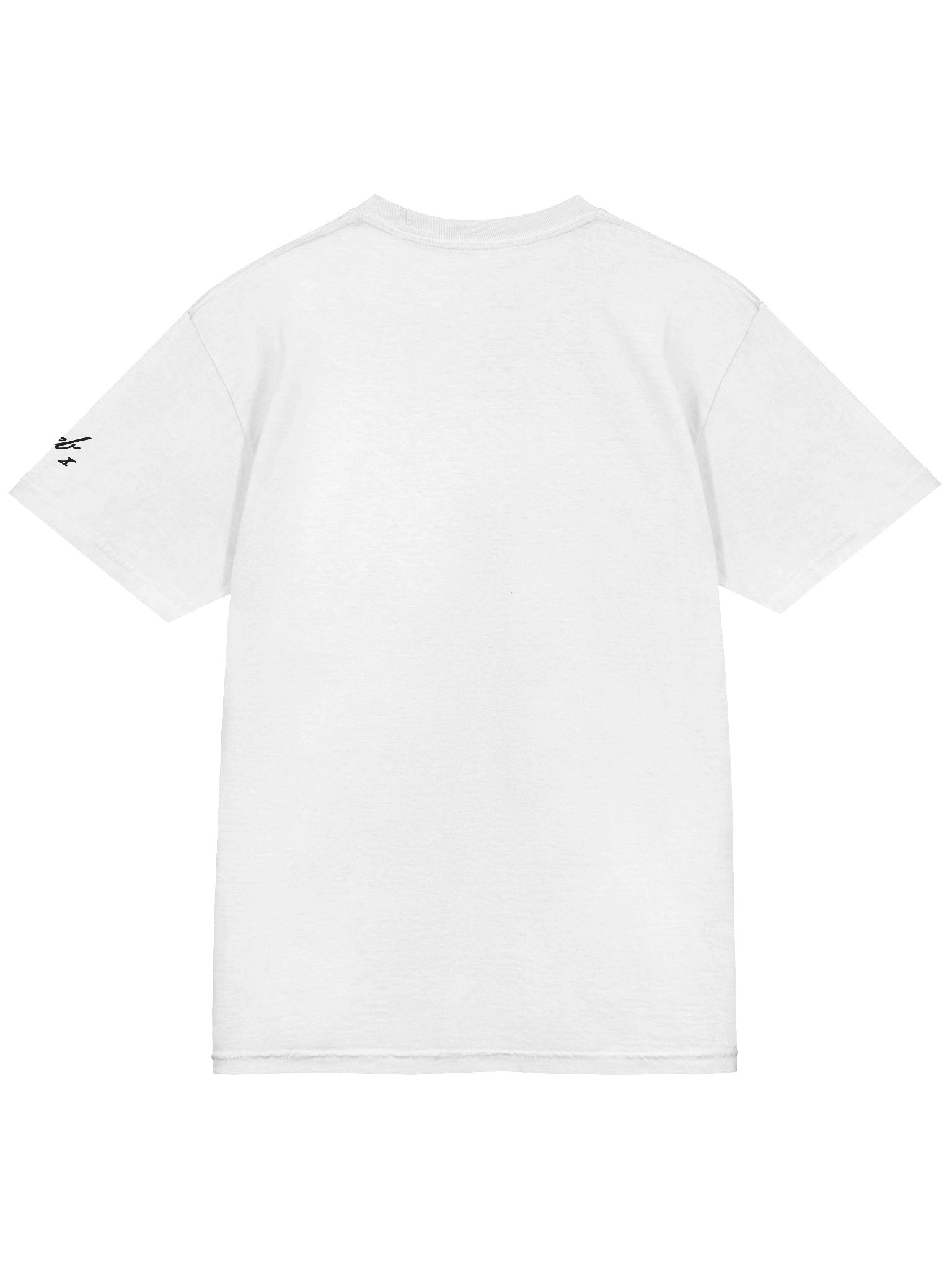 Iconic Court Transcripts Classic T-Shirt product image (6)