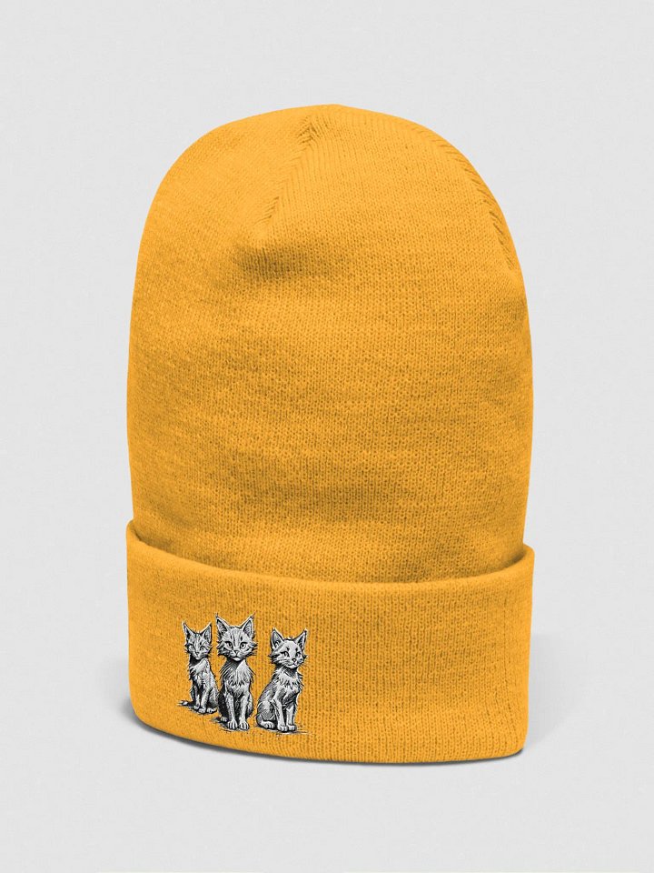 Wild and Free Collection Embroidered Beanie product image (6)