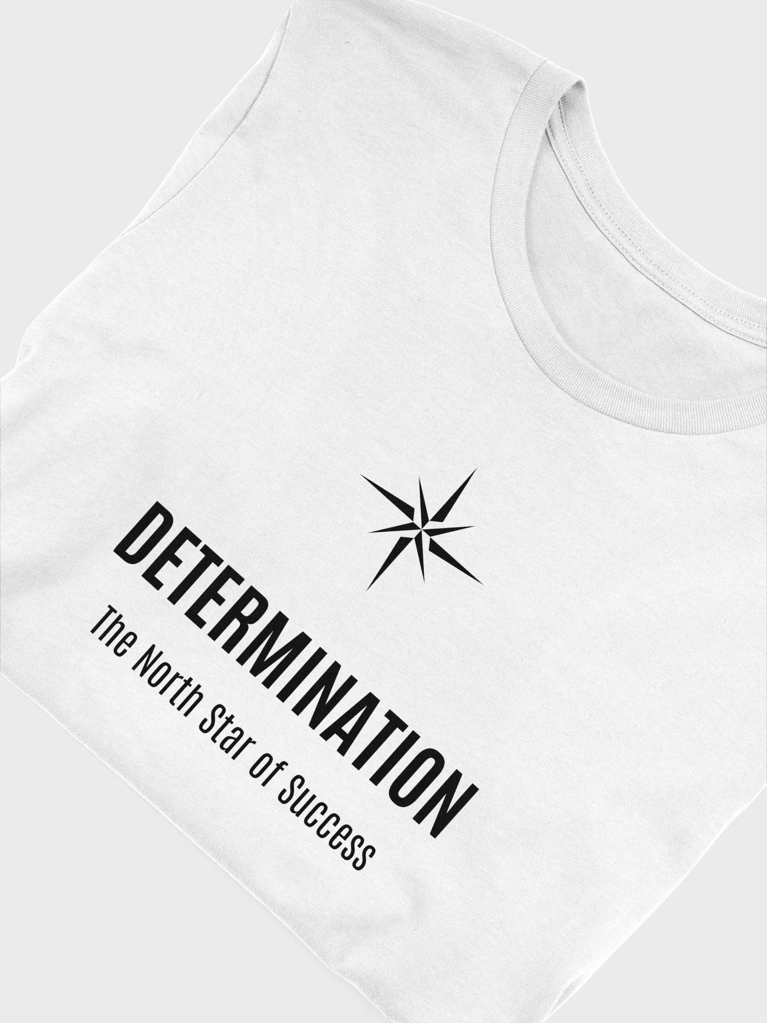 Determination: The North Star of Success Regular Fit T-shirt product image (5)