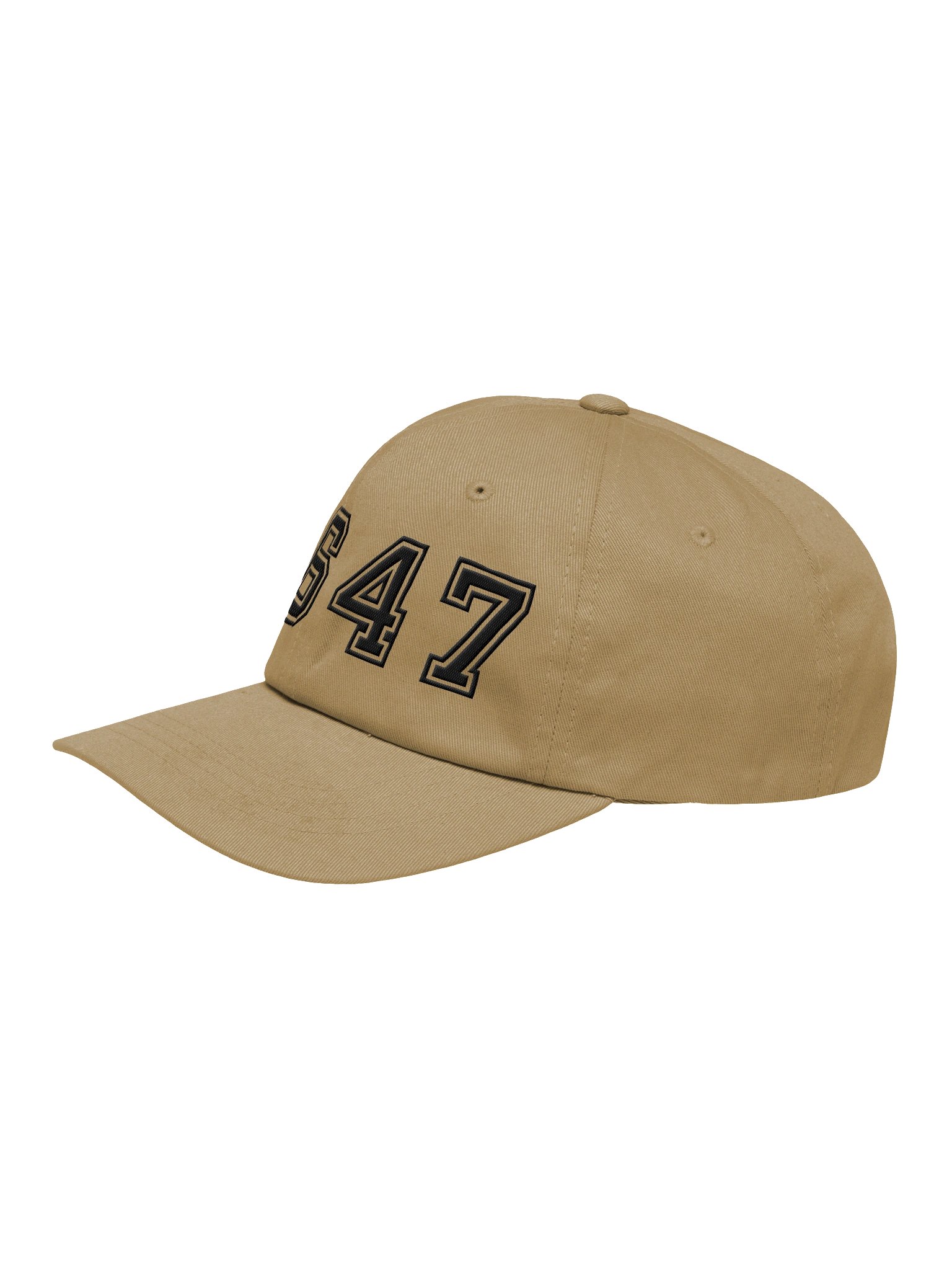 8647 dad hat college dark product image (3)