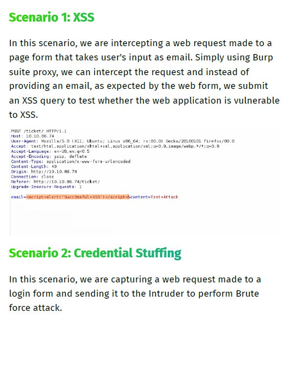 Burp Suite Notes | BSCP notes product image (4)