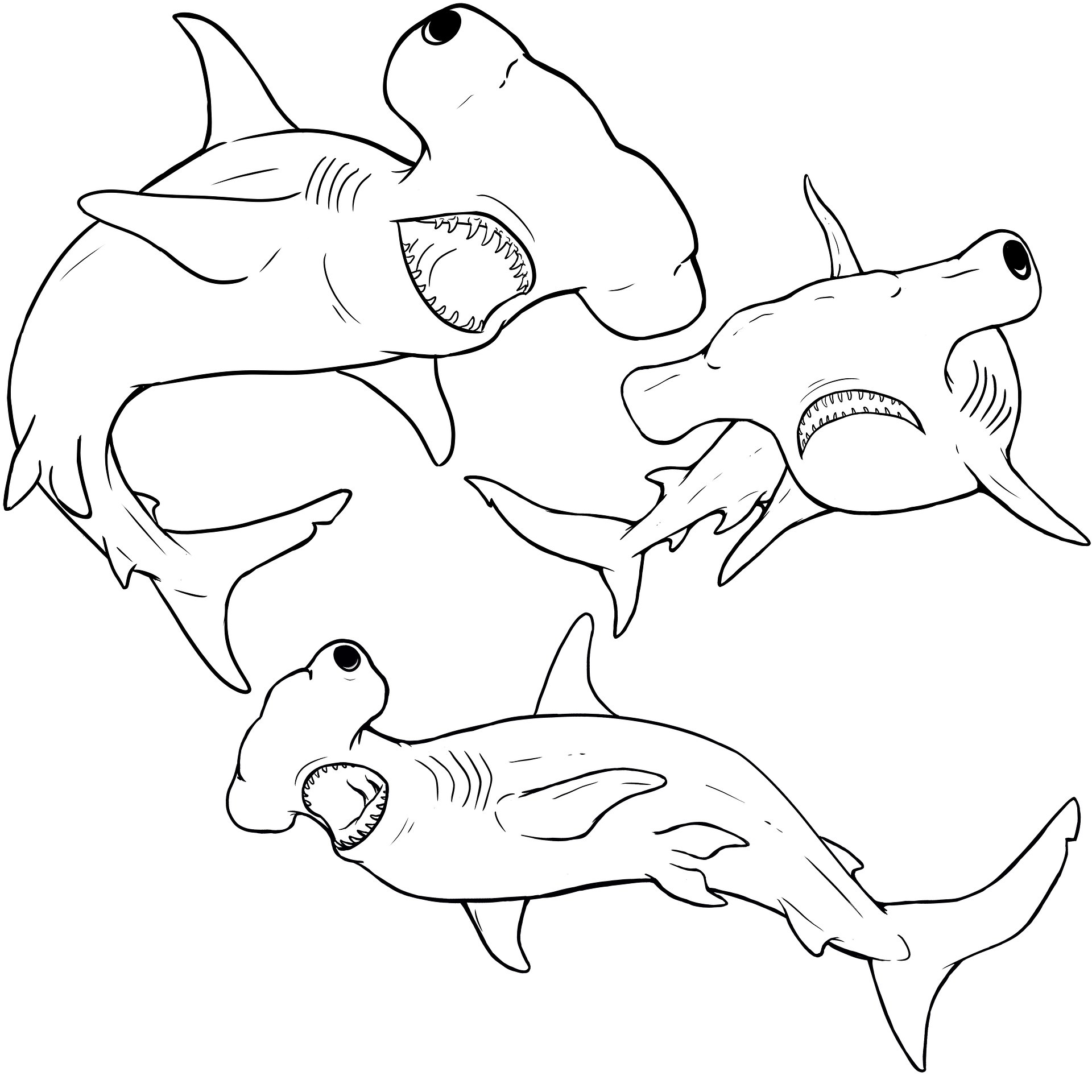 Hammerhead Coloring Pages product image (9)