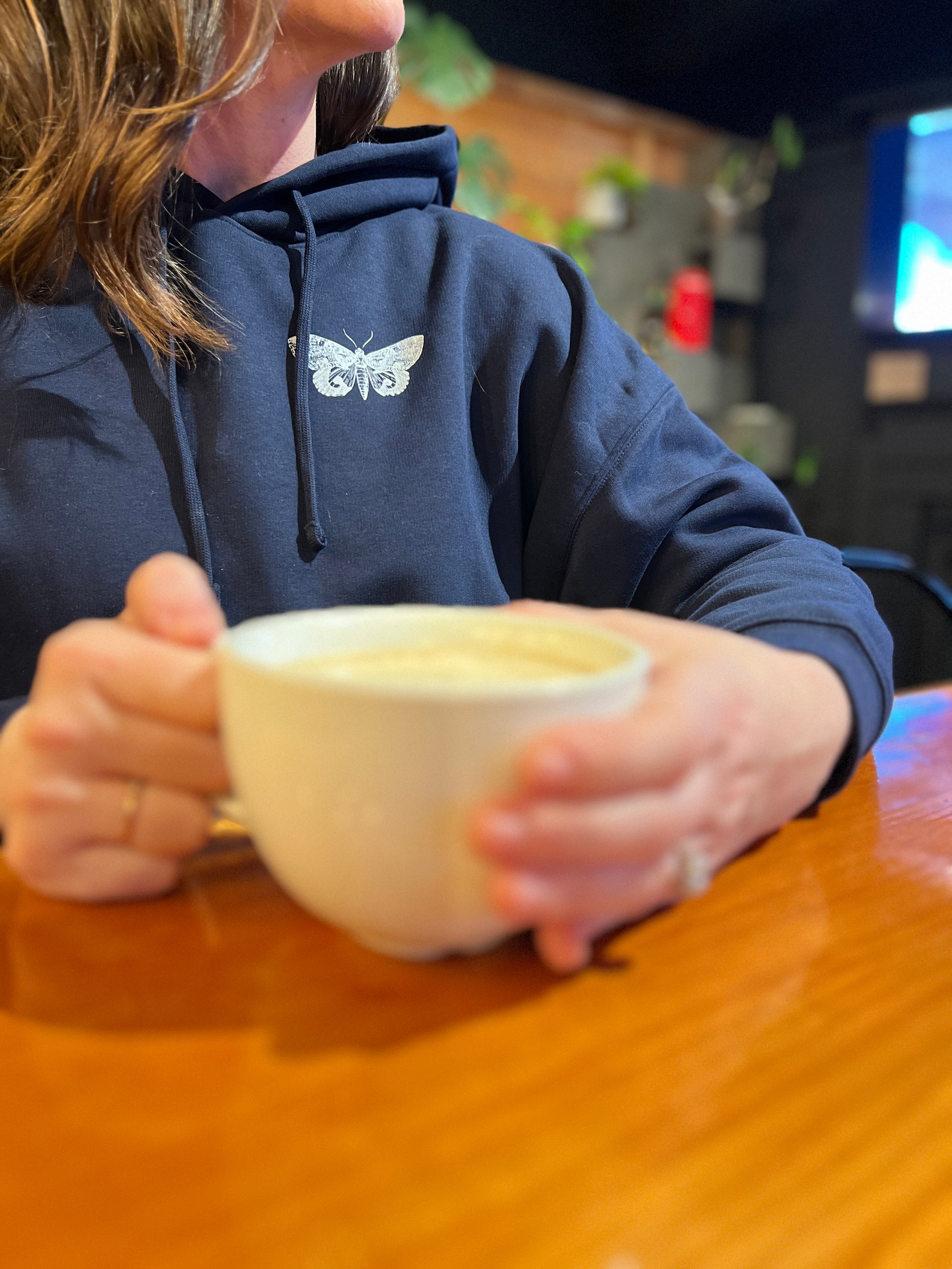 What a Friend We Have in Jesus Hoodie product image (2)