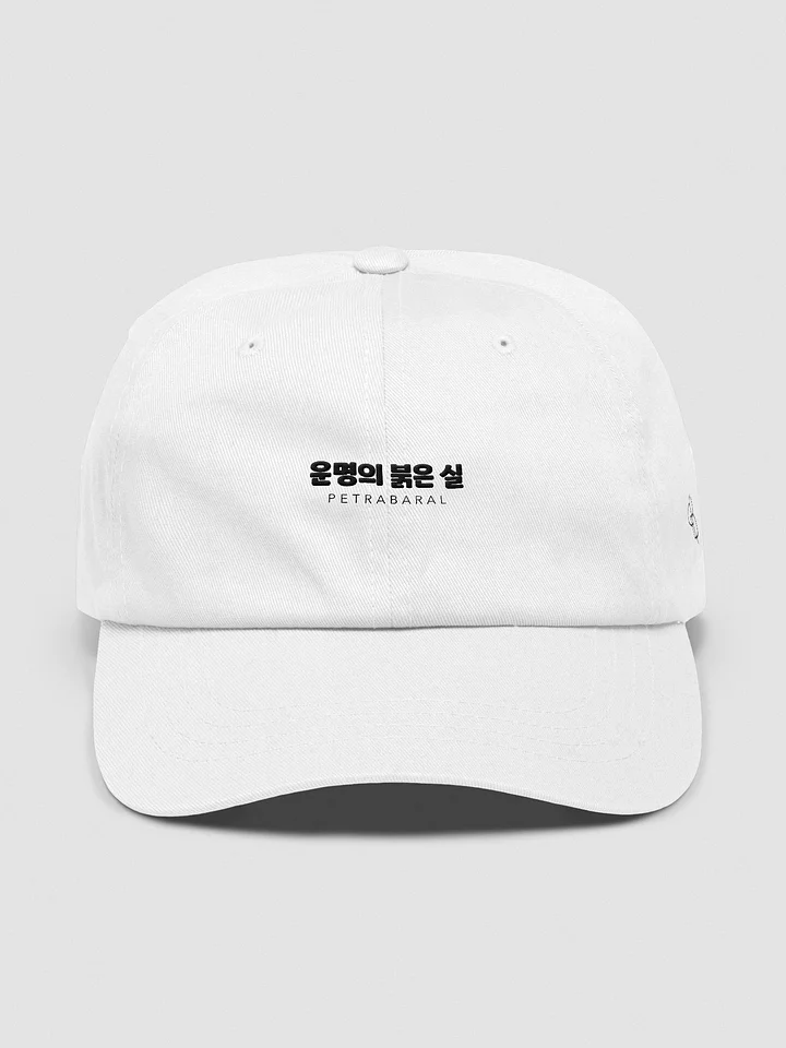 TRTOF Dad Hat product image (9)