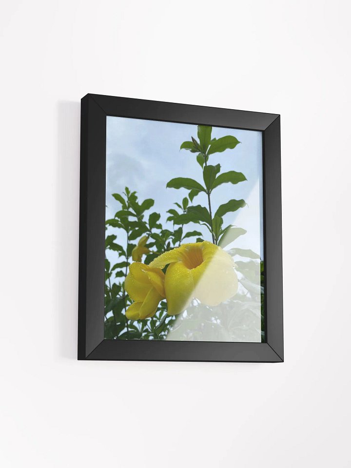 Yellow Bell Flower product image (9)