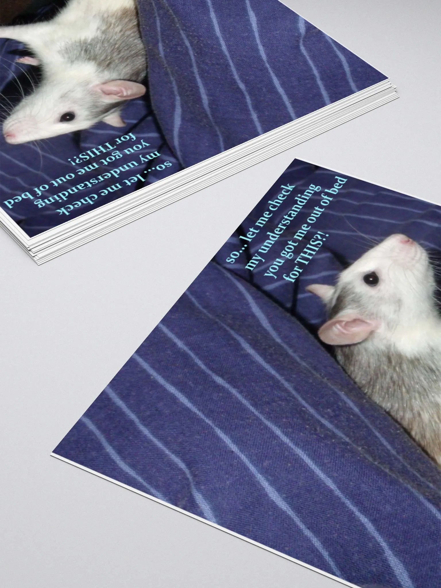 Annoyed husky rat sticker product image (10)