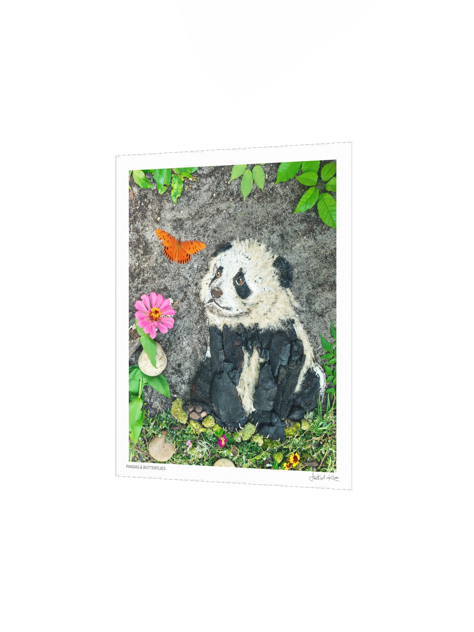 PANDAS & BUTTERFLIES | Fine Art Print product image (5)