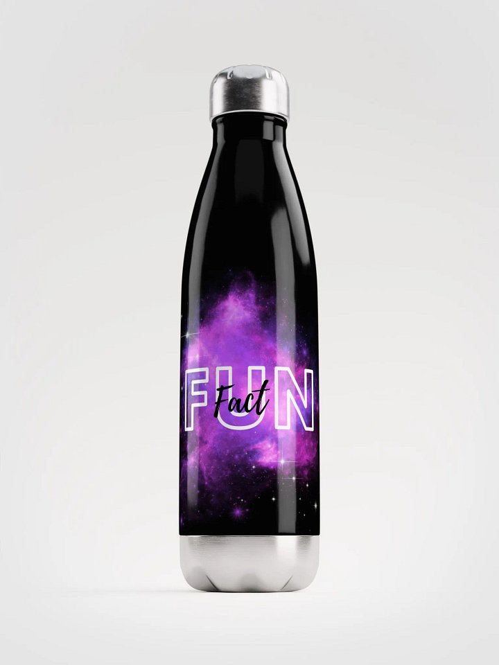 Fun Fact Stainless Steel Water Bottle product image (1)