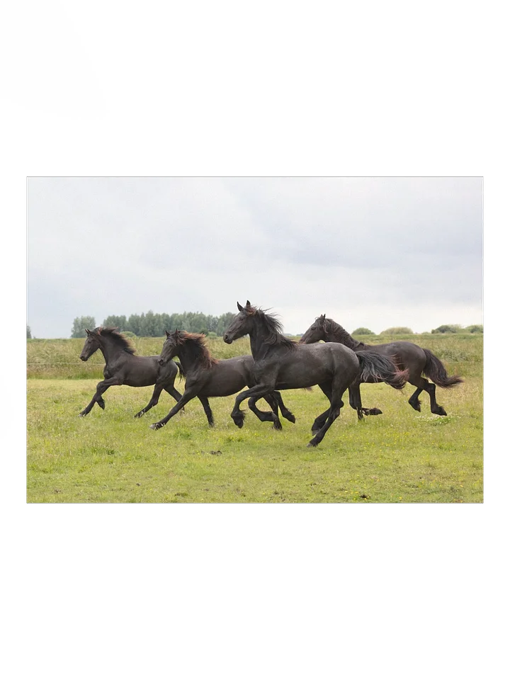 Baukje, Blomke, Yfke & Belle running product image (1)
