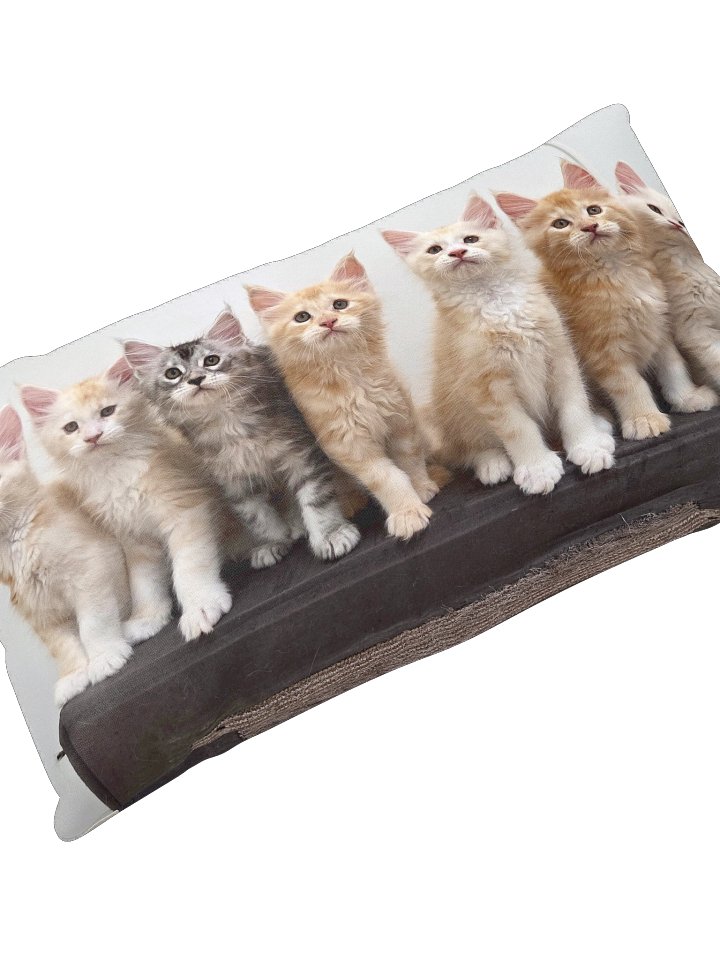 Freya's Kittens - Pillow product image (2)