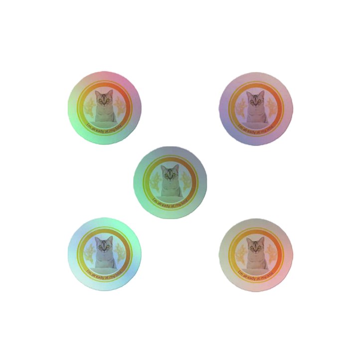KC, At My Limit (kitty), Holo Sticker Pack product image (2)