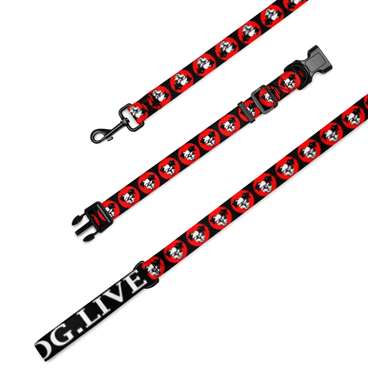 Red Logo Leash & Collar Set product image (2)