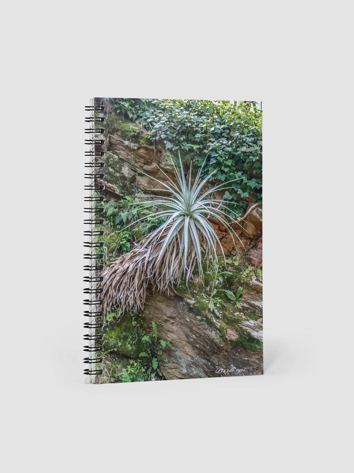 📓 Notebook Collection PURE – Jardin du Rayol – Gardienne des Roches product image (1)