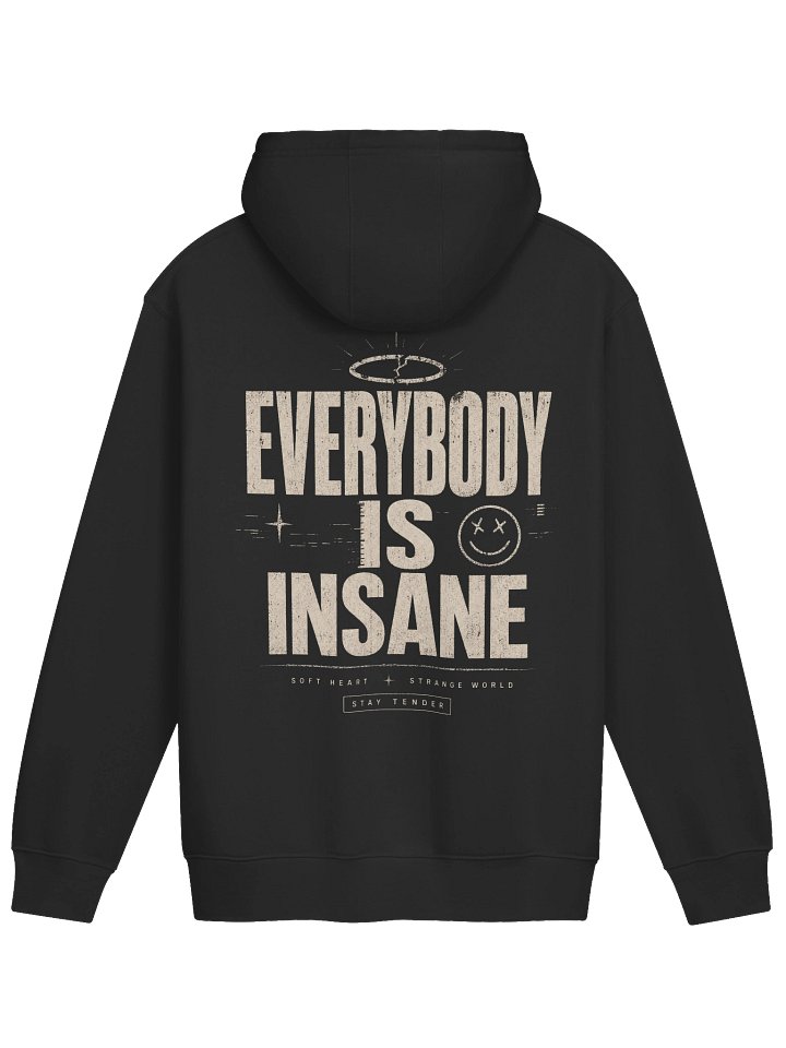 Everybody Is Insane Premium Hoodie product image (2)