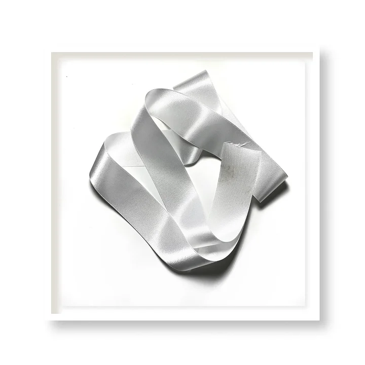 PLATINUM product image (1)