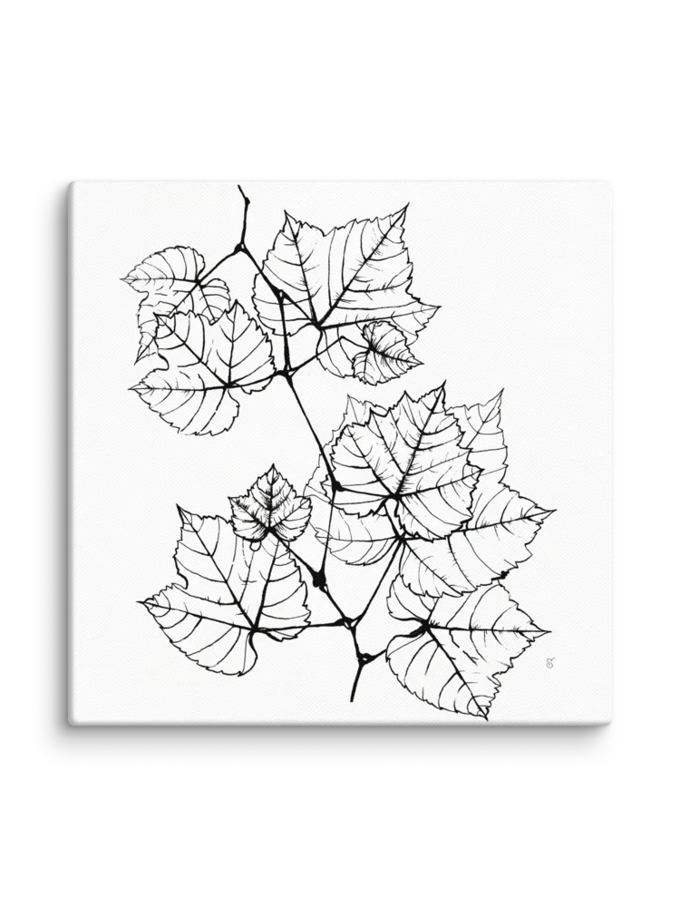 Blank Canvas: Unleash Your Artistic Vision - Grape Leaves Elegant product image (2)
