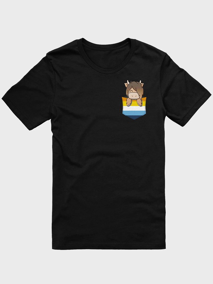 AroAce Pocket Hamish Pride product image (1)