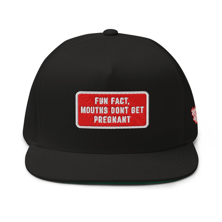 MOUTHS DONT GET PREGNANT - Embroidered SnapBack product image (1)