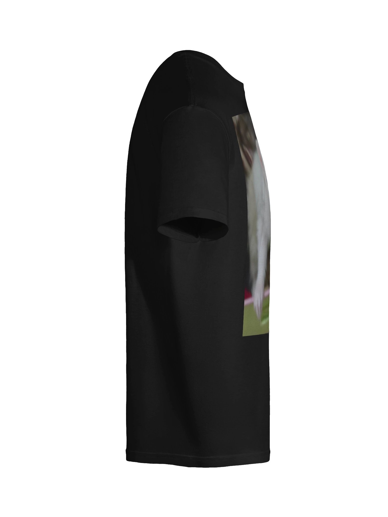 Cici product image (146)