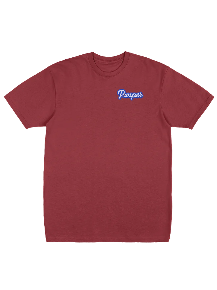 PROSPER Heavyweight T-shirt product image (2)