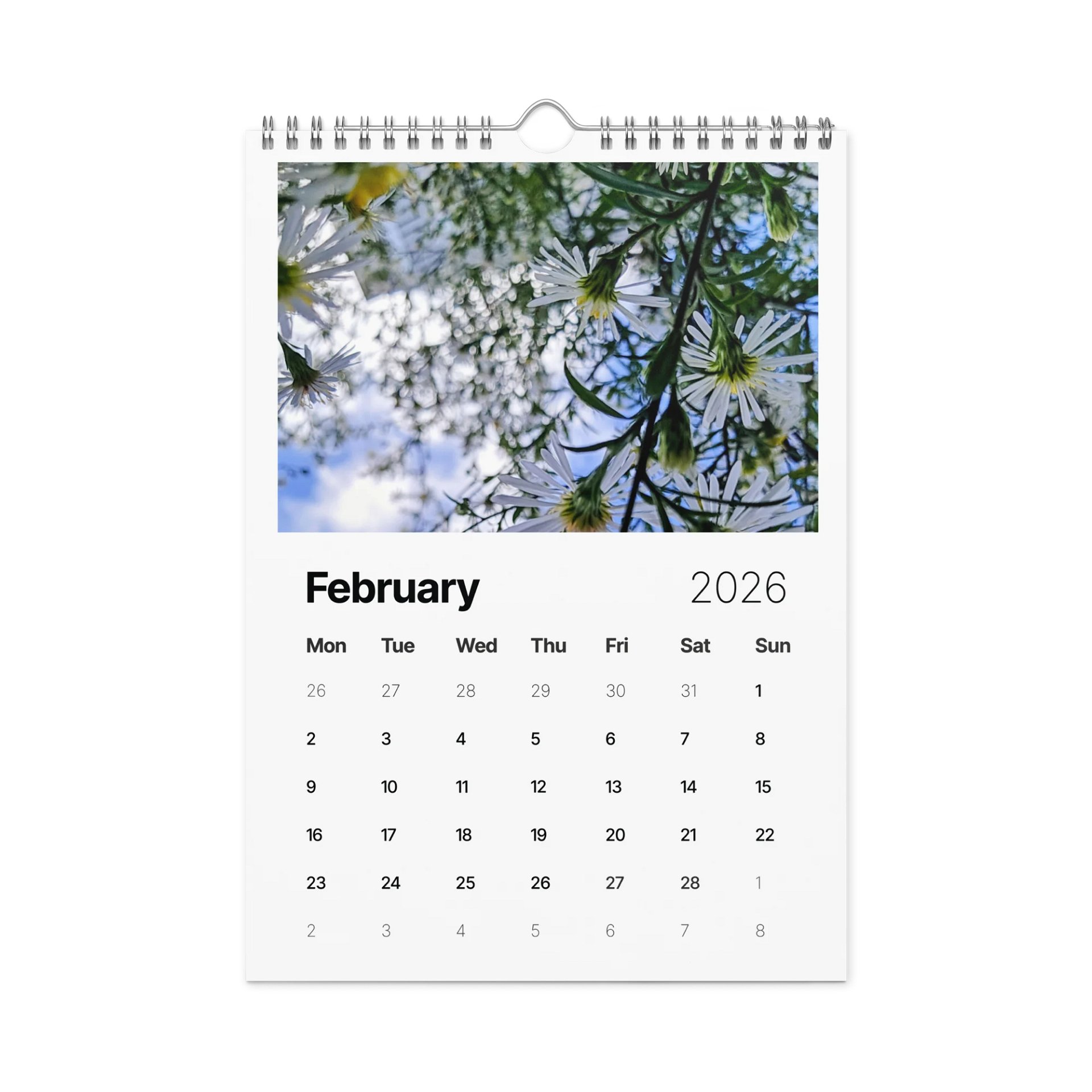 Canopy of Time: 2026 Wall Calendar product image (5)