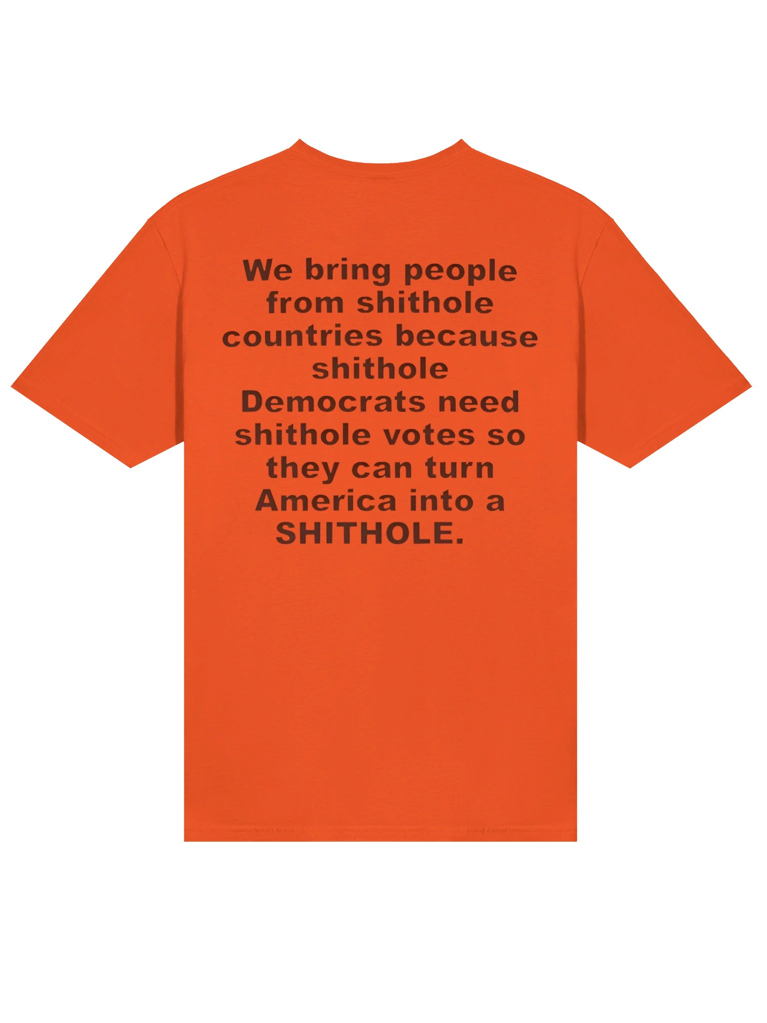 We Bring People From Shithole Countries Anti-Democrat Graphic Shirt product image (3)