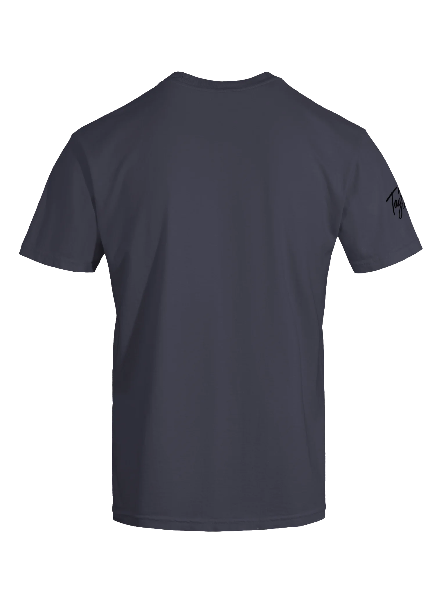 That’s What She Said T-Shirt(Unisex)(black ink) product image (73)