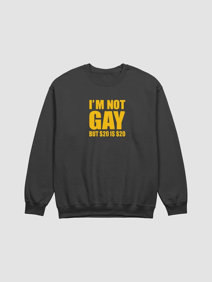 I'm Not Gay But $20 Is $20 Sweatshirt - Funny Graphic Sweatshirt for Men/Women product image (1)