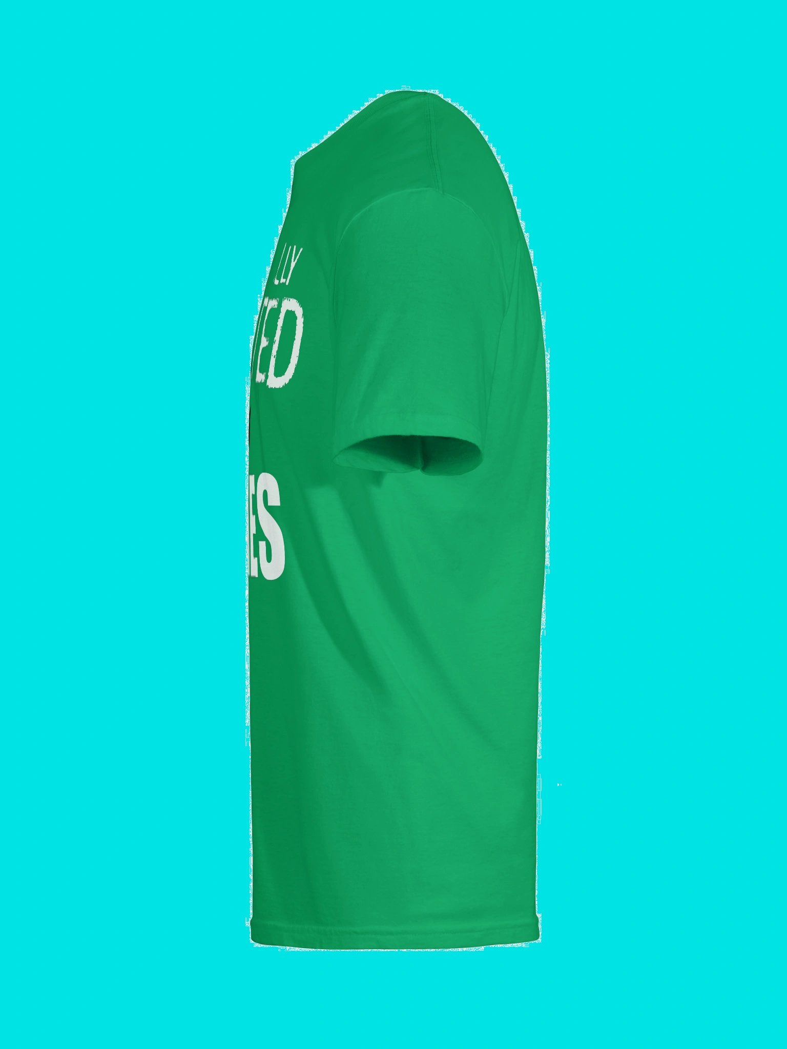 Professionally Addicted to Movies - the official Record 37 shirt product image (6)