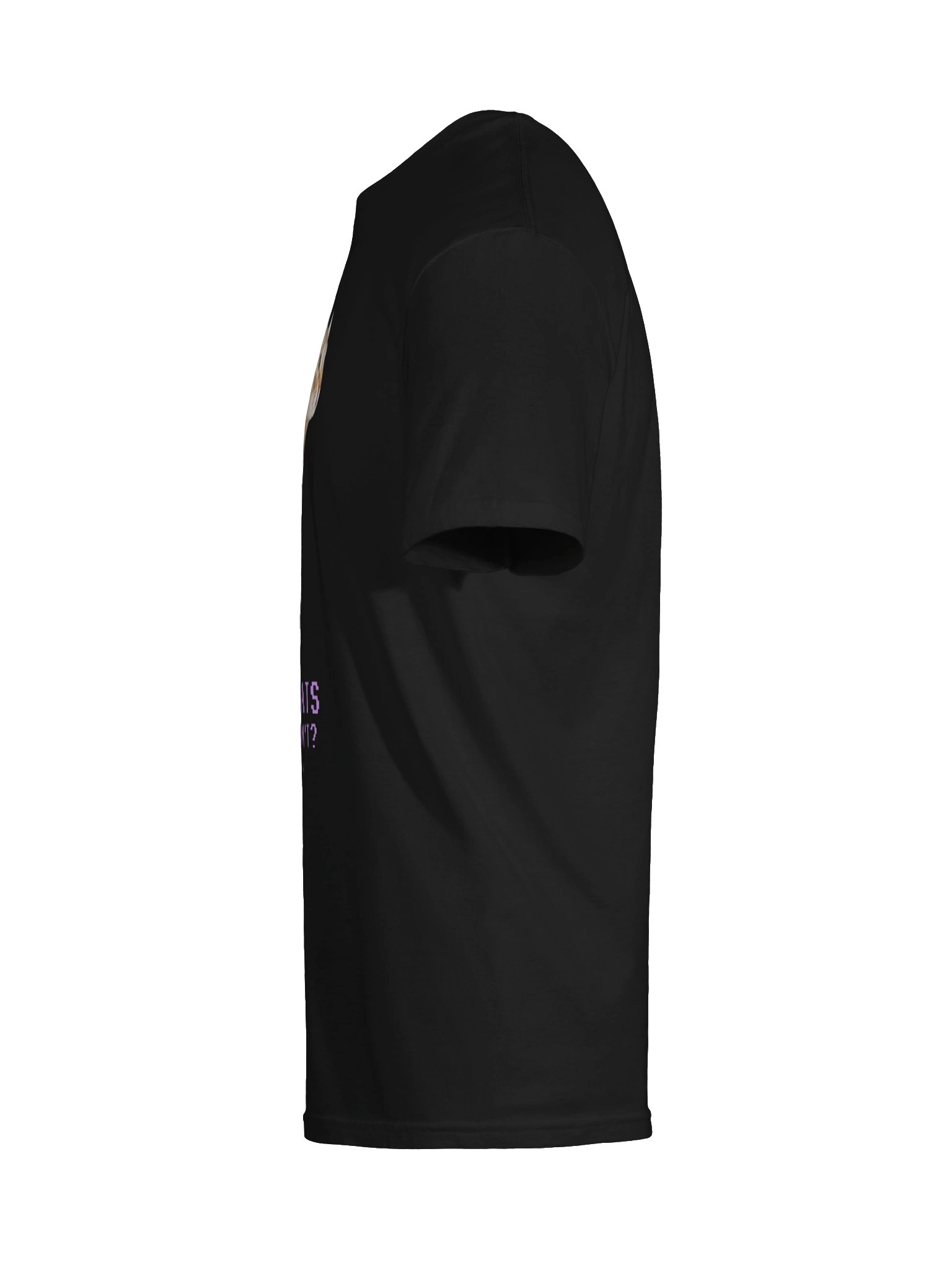 The "Low-Poly Meow" Classic Tee product image (9)
