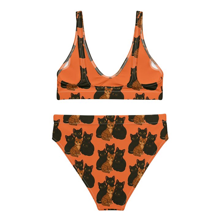 Cat High Waist Bikini Set product image (2)