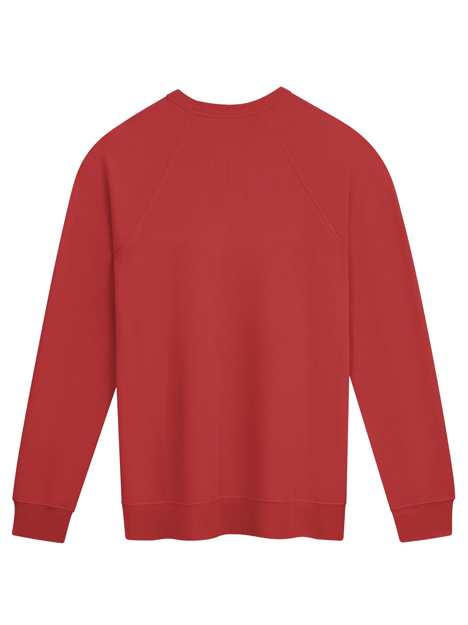 The Naughty or Neigh Sweatshirt (wholesale) product image (2)