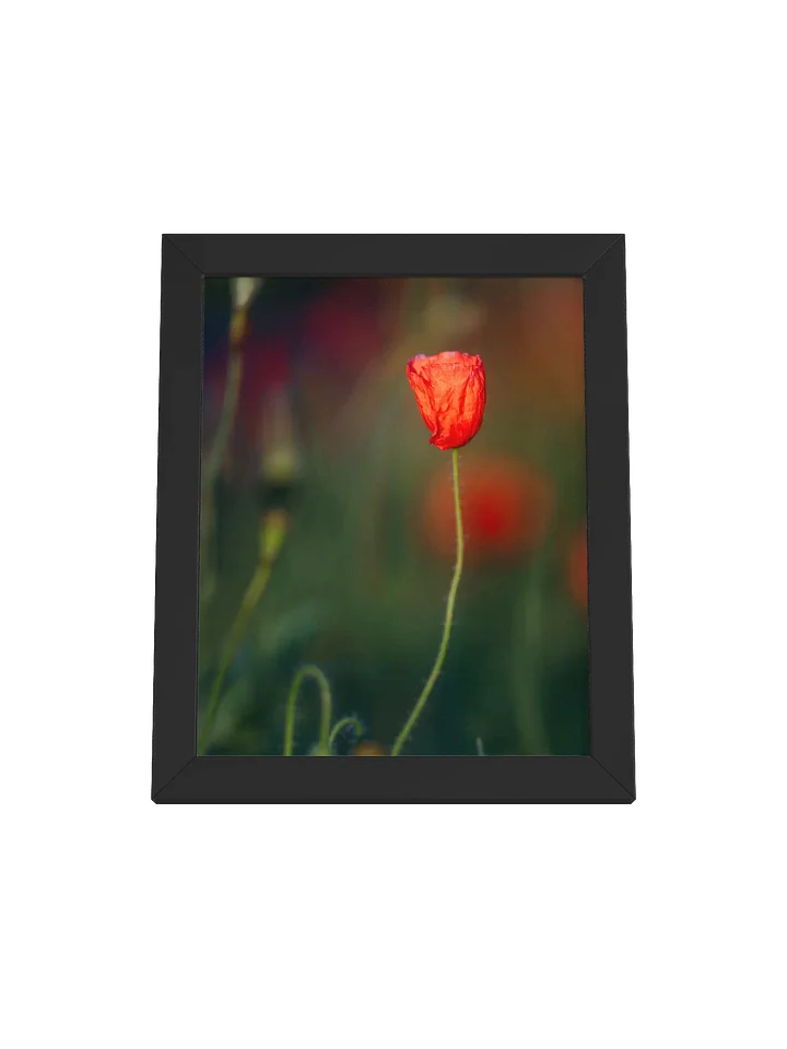 Solitary Bloom Framed Matte Poster product image (1)