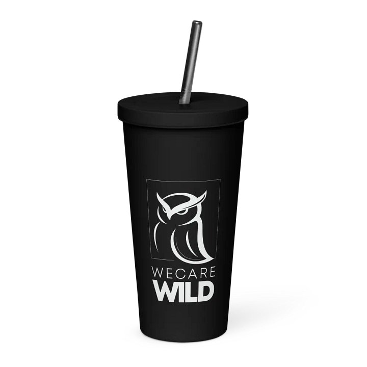 Insulated Tumbler product image (1)