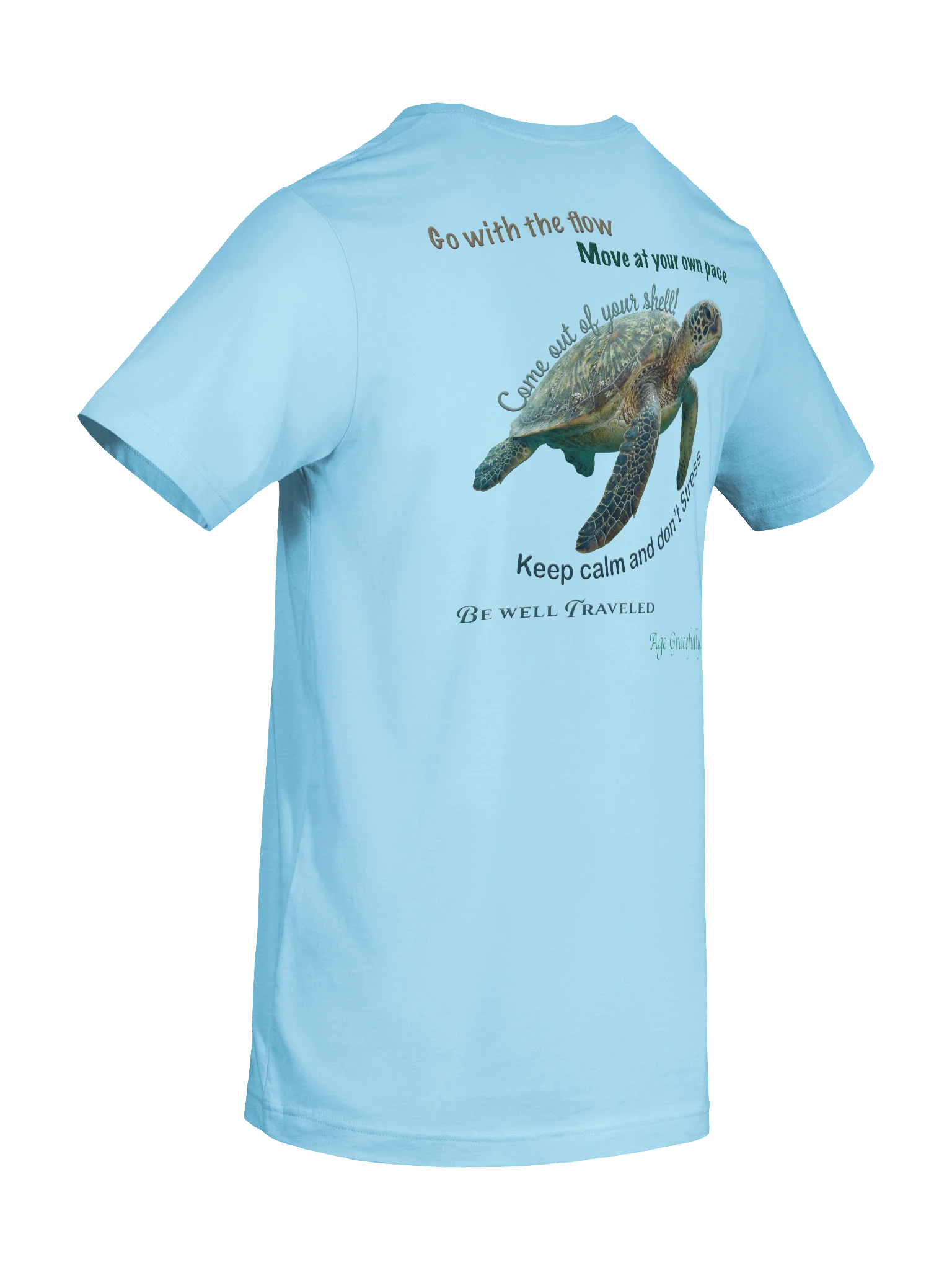sea Turtleology product image (70)