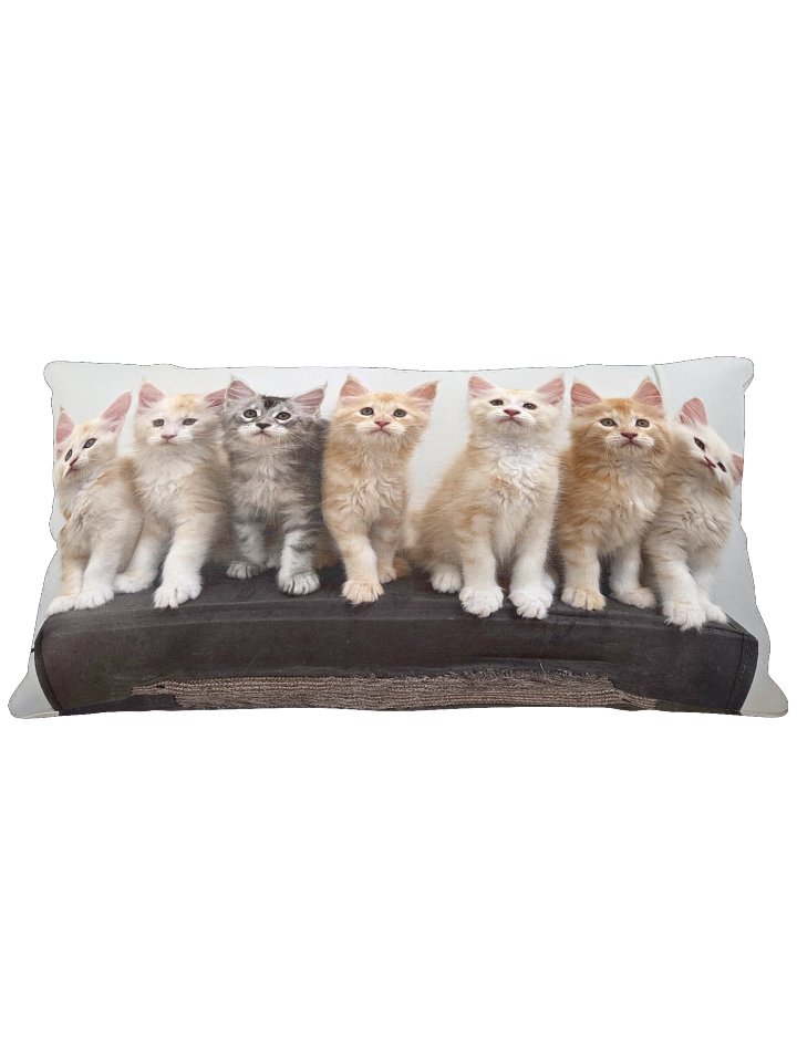 Freya's Kittens - Pillow product image (1)