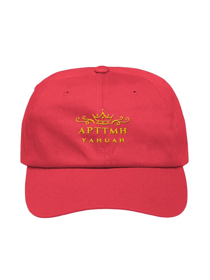 APTTMH Dad Hat product image (2)